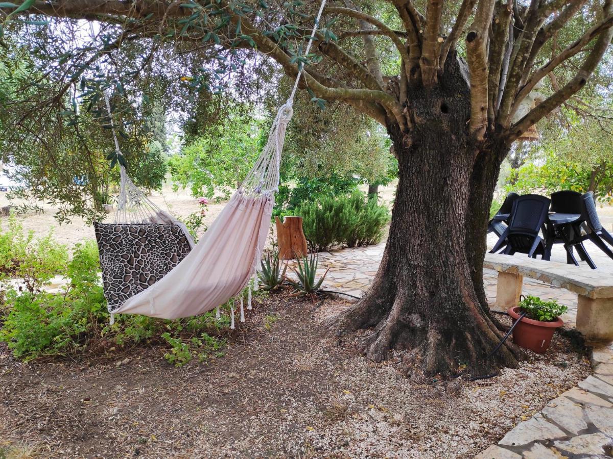 Dreamy Stone House Villa Pesadha ภายนอก รูปภาพ